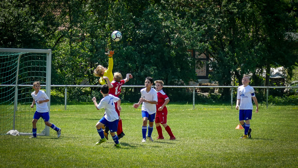 Heimsieg gegen Hemmingen